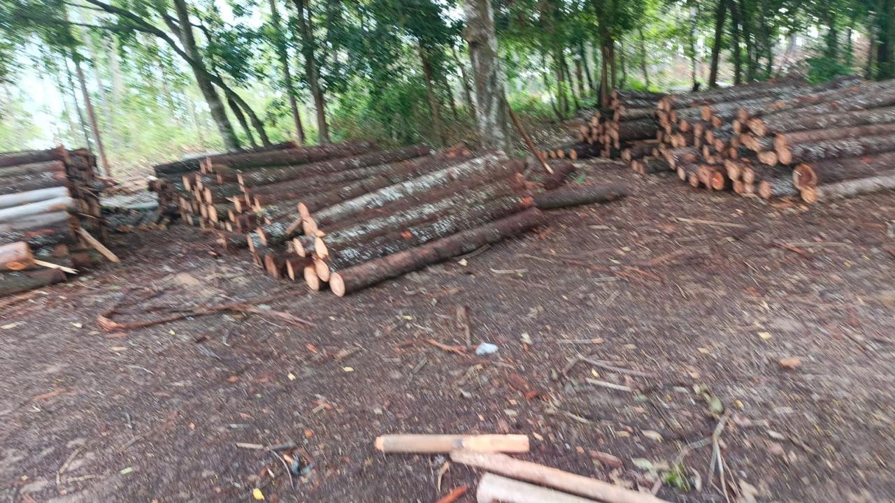 Postes clasificados para distribución